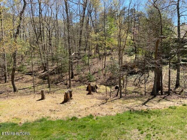 0 Mariners Point, Fairfield Glade, TN 38558
