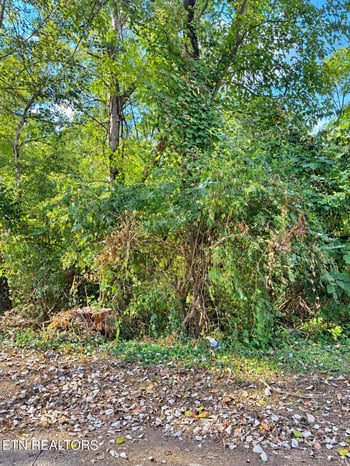 0 Maryland Ave, Knoxville, TN 37921