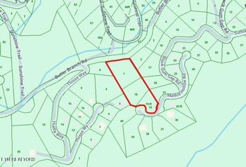 0 Mathis Hollow Rd, Gatlinburg, TN 37738