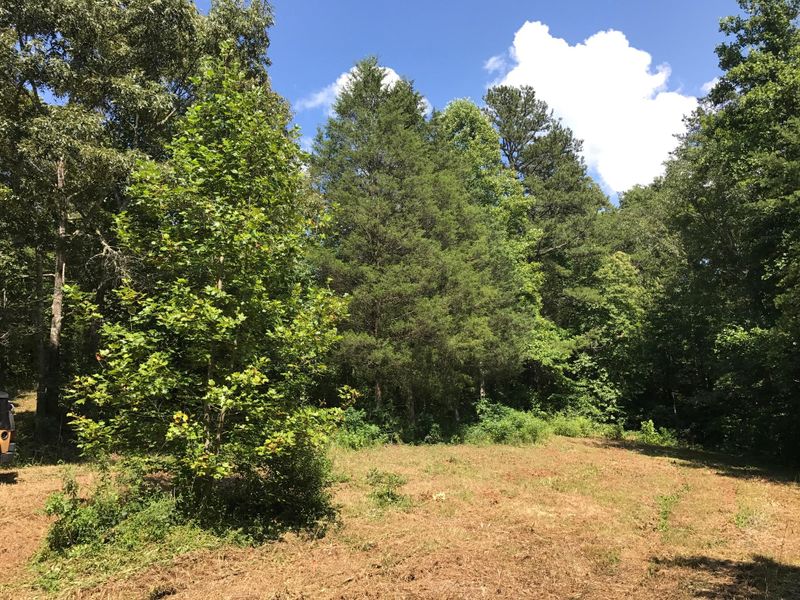 0 Mcafee Ln, Andersonville, TN 37705