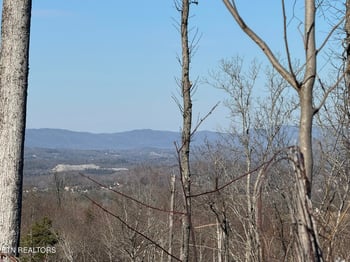 0 Mccubbins Rd, Strawberry Plains, TN 37871