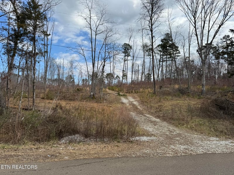 0 Mccubbins Rd, Strawberry Plains, TN 37871