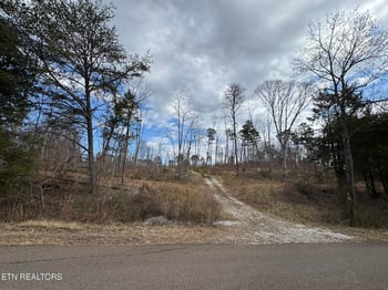 0 Mccubbins Rd, Strawberry Plains, TN 37871