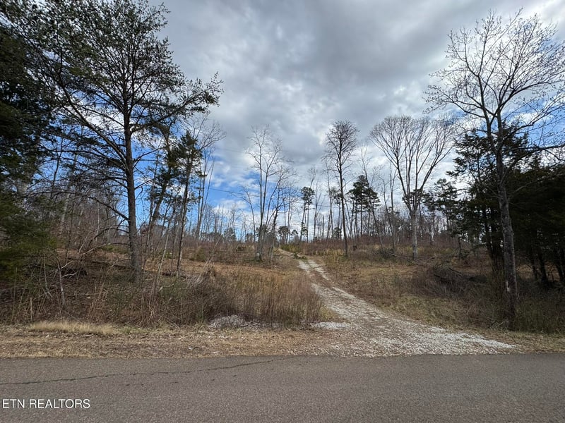 0 Mccubbins Rd, Strawberry Plains, TN 37871