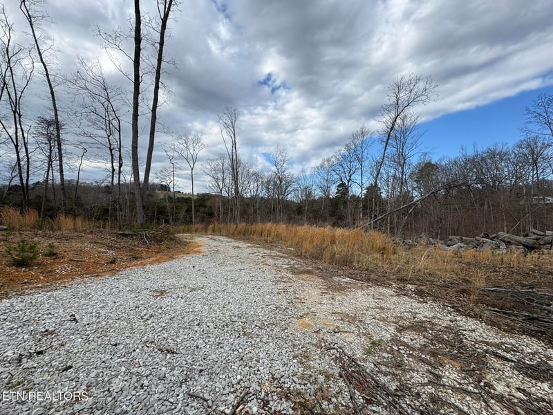 0 Mccubbins Rd, Strawberry Plains, TN 37871