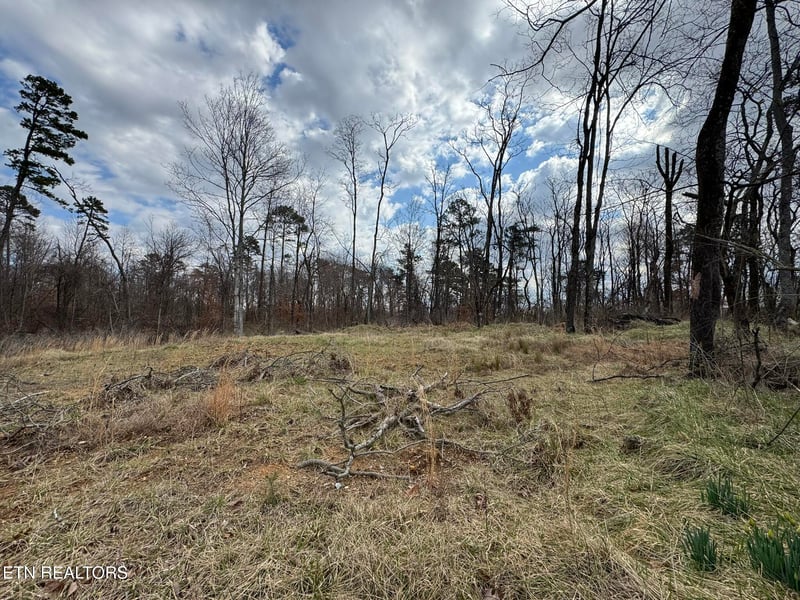0 Mccubbins Rd, Strawberry Plains, TN 37871