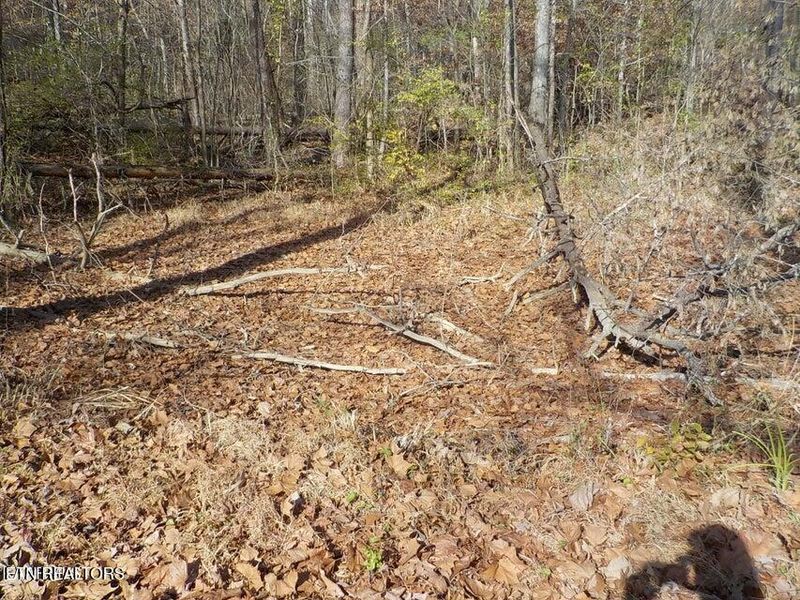 0 Mckinney Rd, Blaine, TN 37709