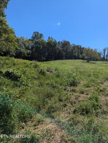0 Mckinney Richland Road Rd, Mascot, TN 37806