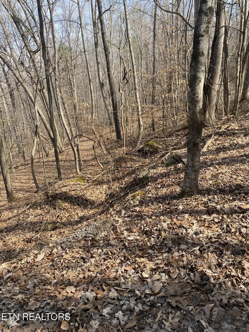 0 Meandering Cir, Maynardville, TN 37807