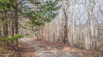 0 Meandering Cir, Maynardville, TN 37807
