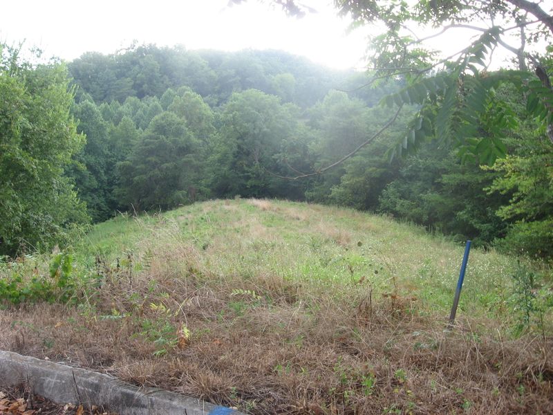 0 Megan Viewln, Sevierville, TN 37876