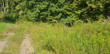 0 Mel Hall Rd, Maryville, TN 37803