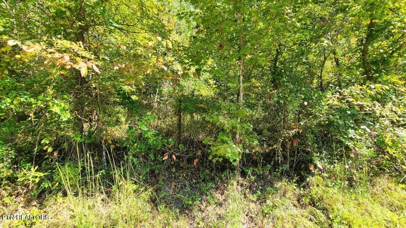 0 Mel Hall Rd, Maryville, TN 37803