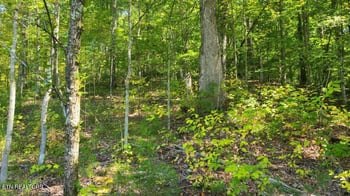 0 Mel Hall Rd, Maryville, TN 37803