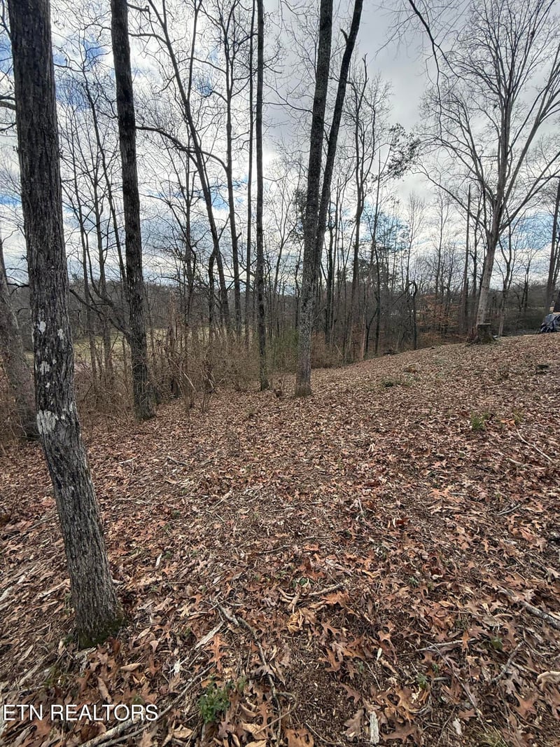 0 Melissa Ln, Maryville, TN 37801