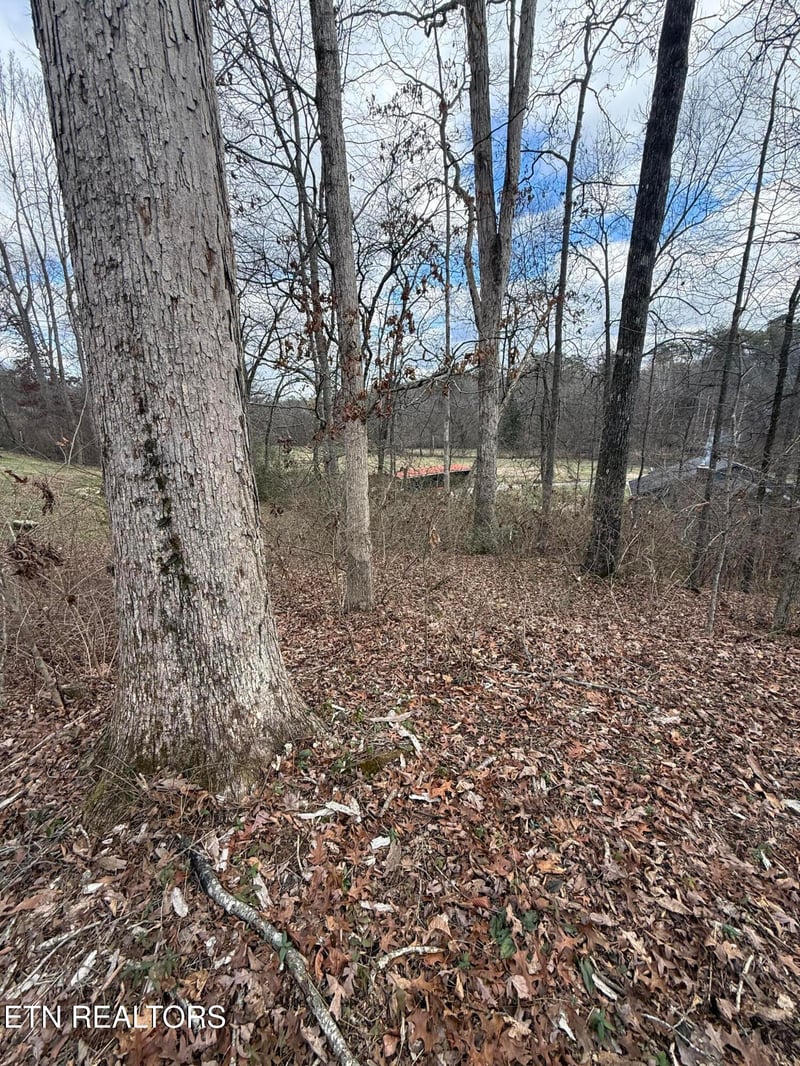 0 Melissa Ln, Maryville, TN 37801
