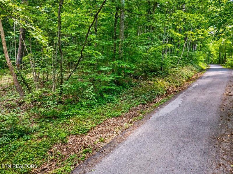 0 Merritt Rd, Washburn, TN 37888