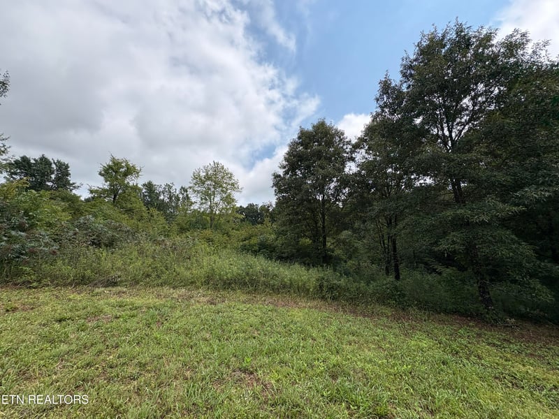 0 Midway Rd Lot 3-4, Strawberry Plains, TN 37871