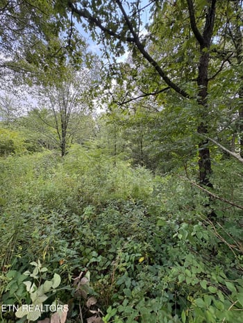 0 Midway Rd Lot 3-4, Strawberry Plains, TN 37871