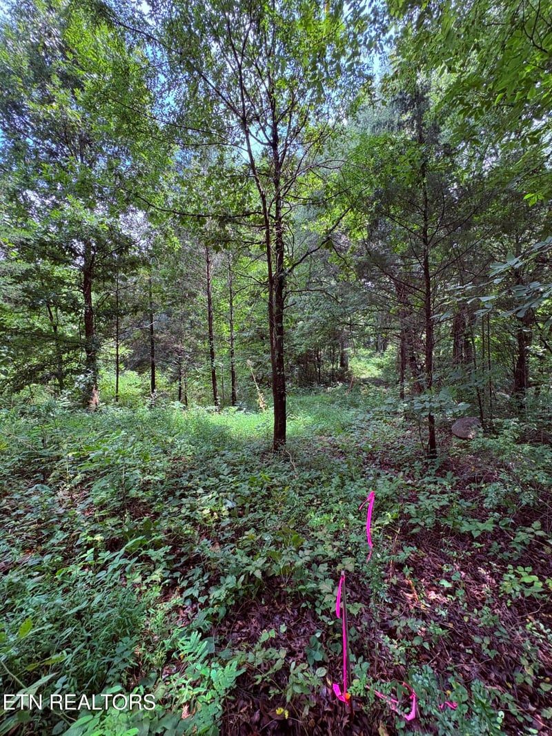 0 Midway Rd Lot 3-4, Strawberry Plains, TN 37871