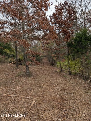0 Midway Road Lot 3, Strawberry Plains, TN 37871