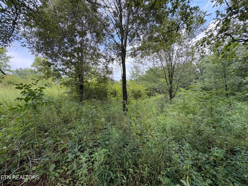 0 Midway Road Lot 3, Strawberry Plains, TN 37871