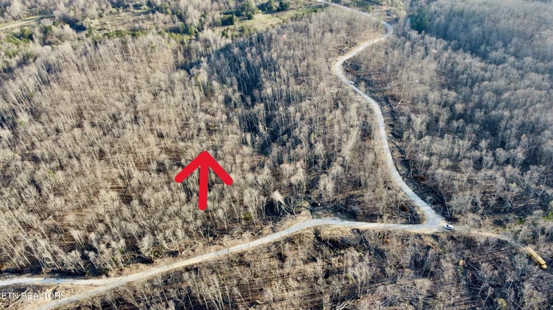 0 Mill Creek Rd #026 009.19, Sunbright, TN 37872