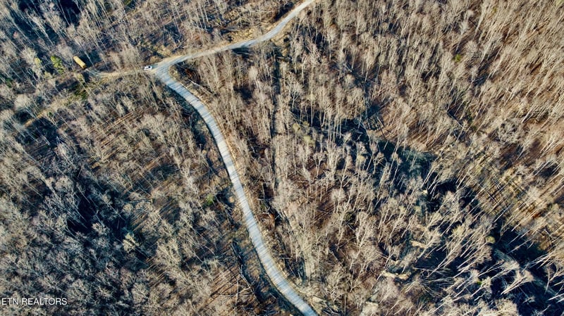 0 Mill Creek Rd #026 009.19, Sunbright, TN 37872