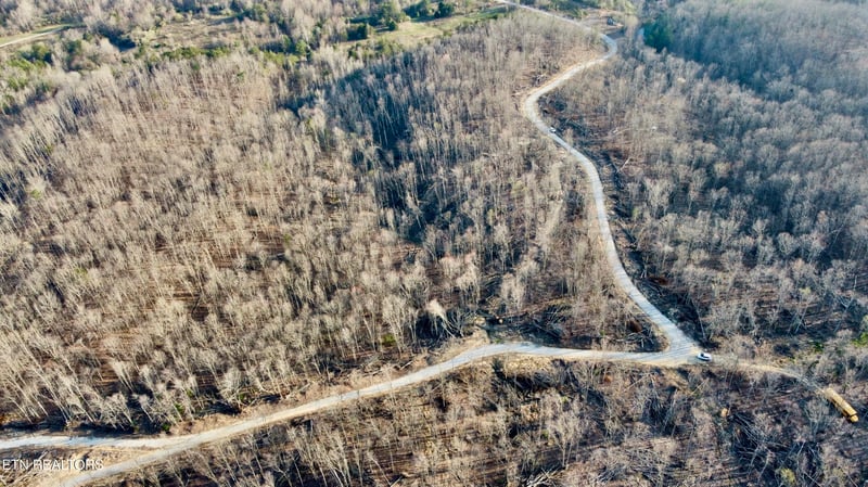 0 Mill Creek Rd #026 009.19, Sunbright, TN 37872
