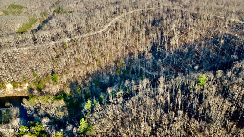 0 Mill Creek Rd #026 009.19, Sunbright, TN 37872