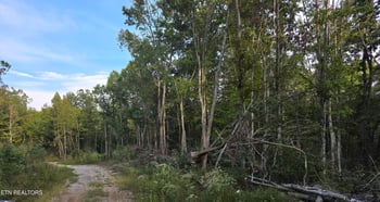 0 Mill Creek Rd, Sunbright, TN 37872