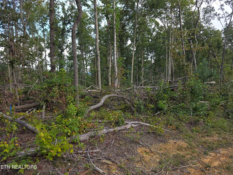 0 Mill Creek Rd, Sunbright, TN 37872