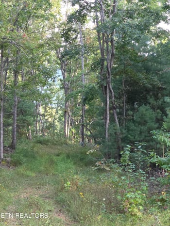 0 Mill Creek Rd, Sunbright, TN 37872