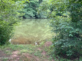 0 Millsaps Rd, Vonore, TN 37885
