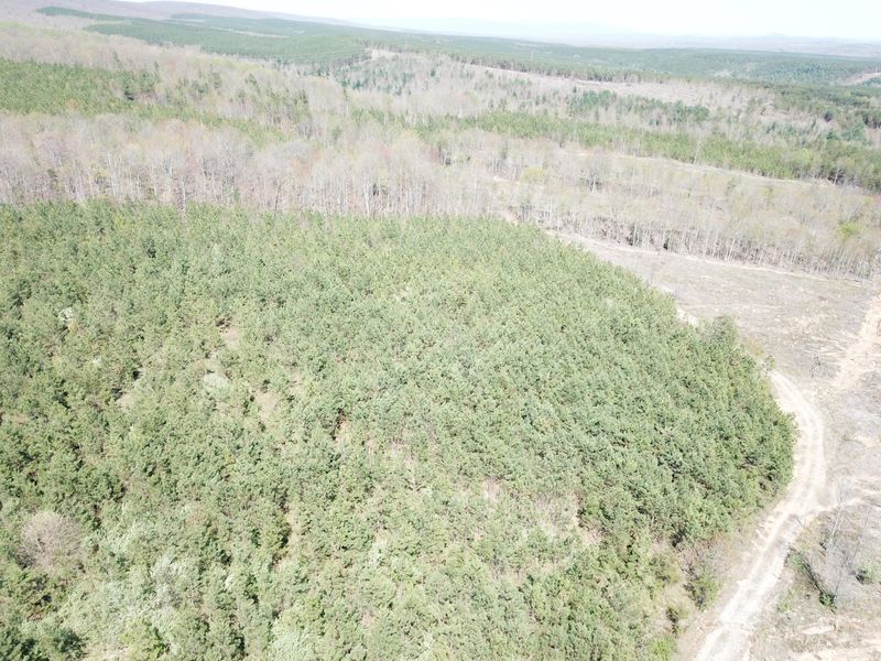 0 Millstone Mountain Rd, Harriman, TN 37748