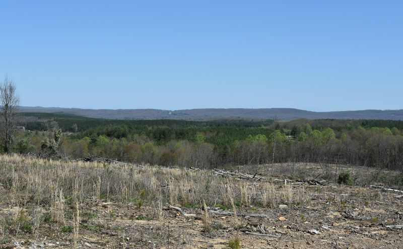 0 Millstone Mountain Rd, Harriman, TN 37748