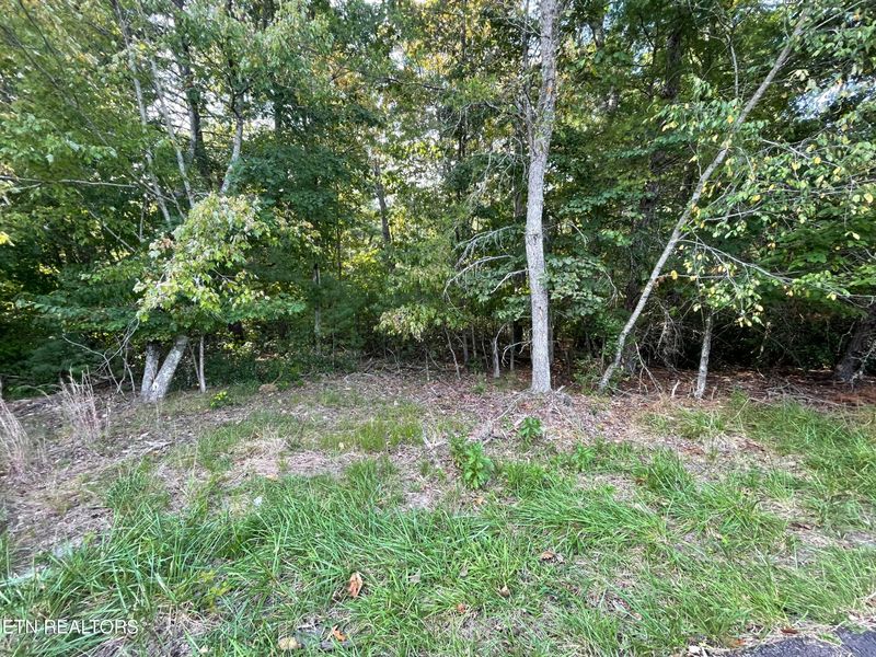 0 Minetta Dr, Crossville, TN 38558