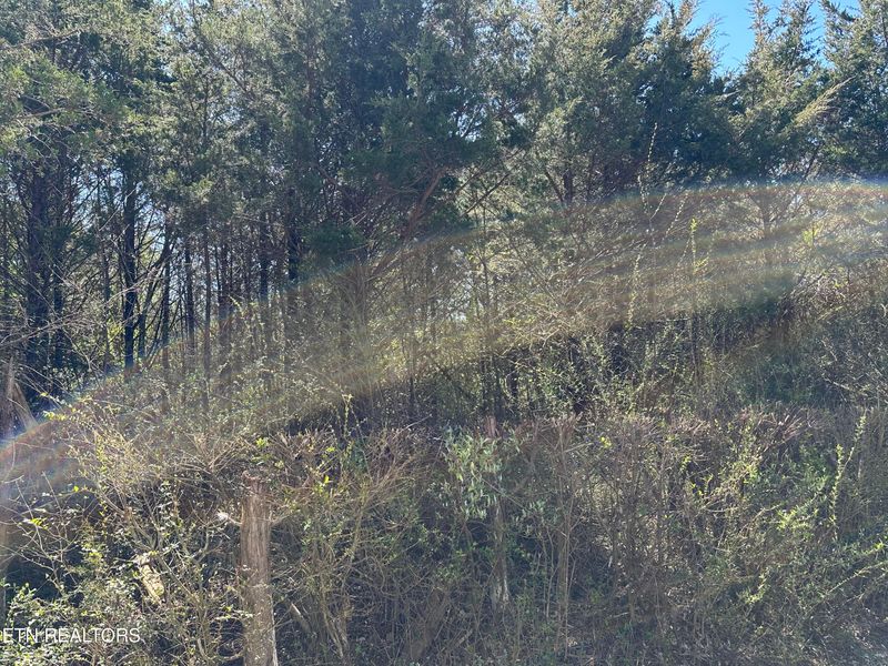 0 Minton Rd, Lafollette, TN 37766