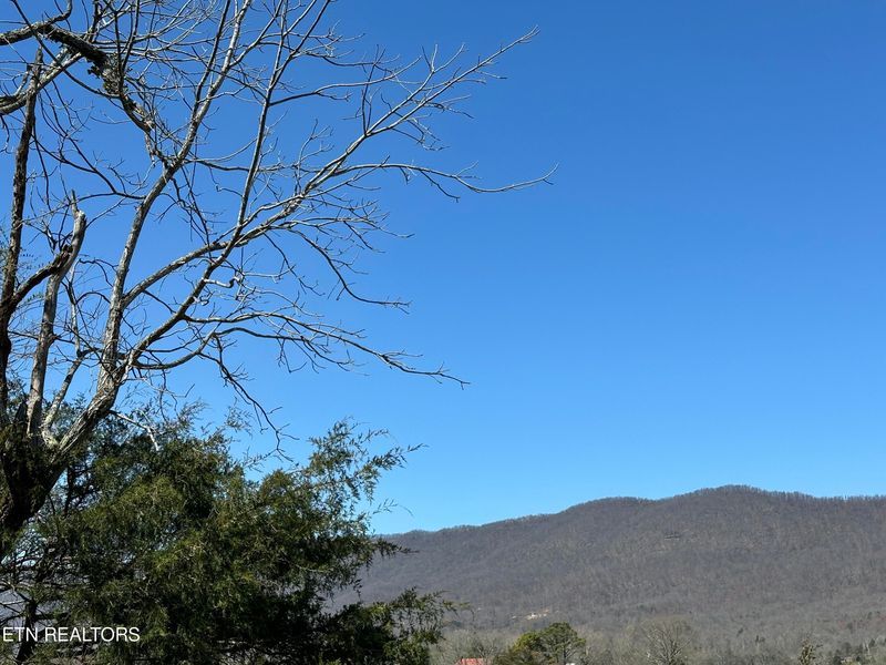 0 Minton Rd, Lafollette, TN 37766