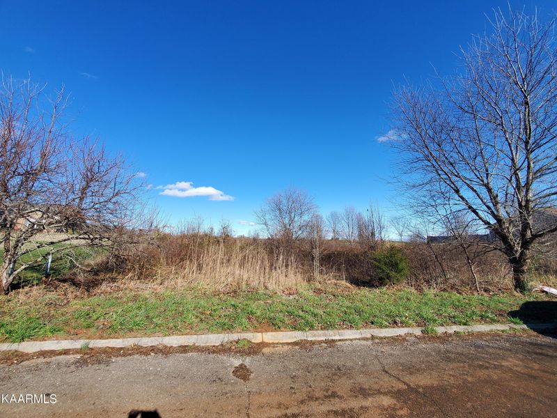 0 Misty Mead Dr, Sevierville, TN 37876