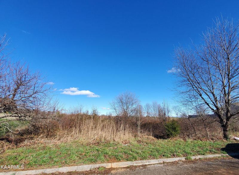 0 Misty Mead Dr, Sevierville, TN 37876