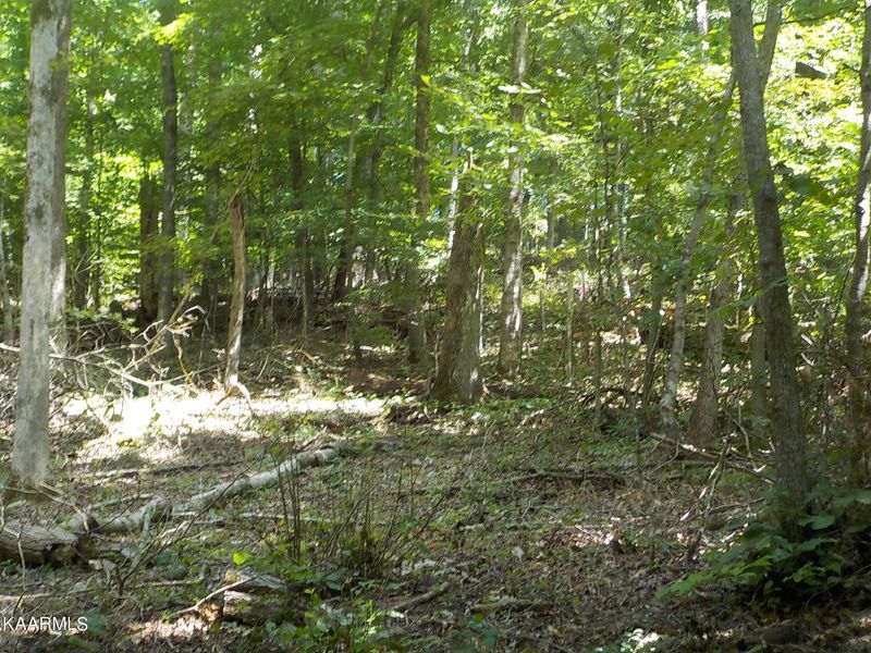 0 Mitchell Rd, Blaine, TN 37709