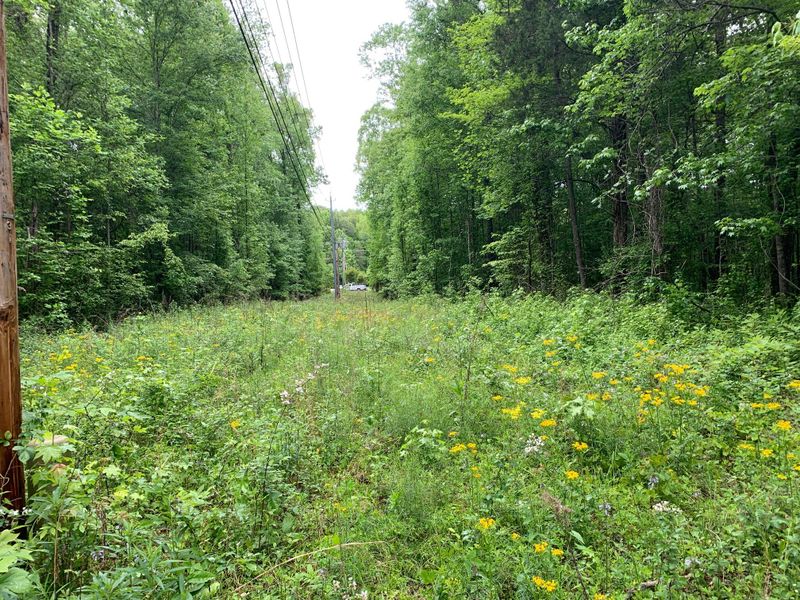 0 Mitchell Rd, Oak Ridge, TN 37830