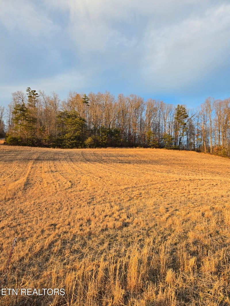 0 Monroe Ln, Sharps Chapel, TN 37866