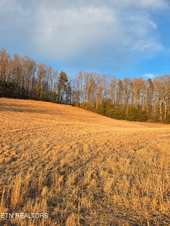 0 Monroe Ln, Sharps Chapel, TN 37866