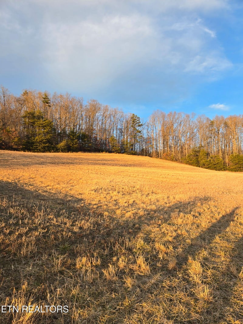0 Monroe Ln, Sharps Chapel, TN 37866