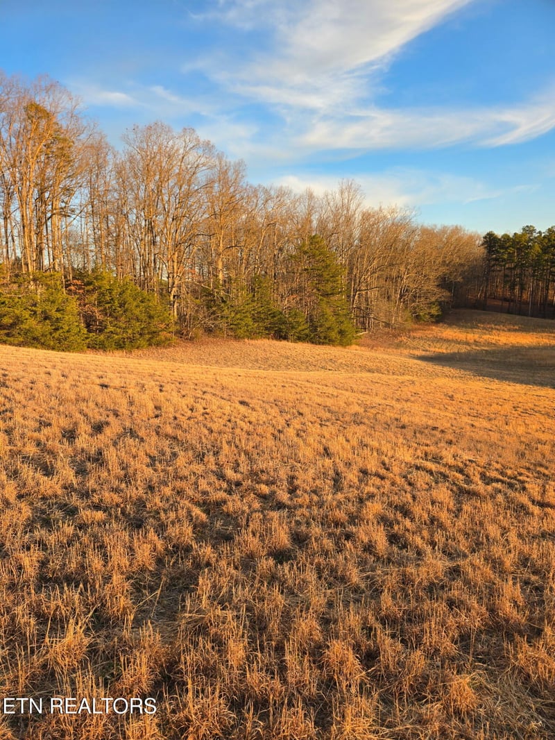 0 Monroe Ln, Sharps Chapel, TN 37866