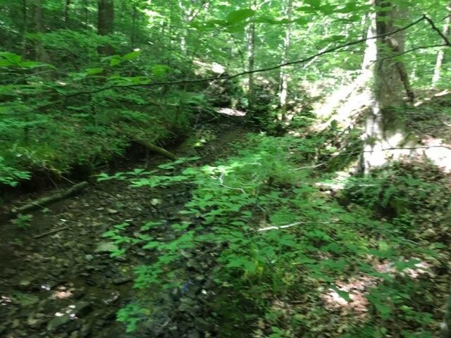 0 Monroe Rd, Maynardville, TN 37807