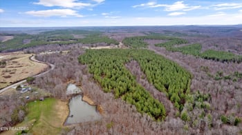 0 Morgan Co Hwy, Sunbright, TN 37872