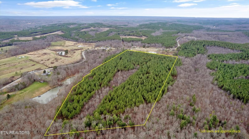 0 Morgan Co Hwy, Sunbright, TN 37872